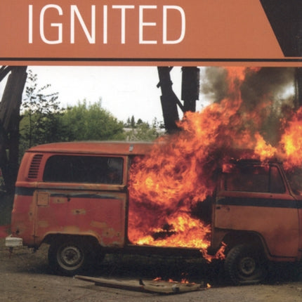 Backfire Justice Ignited The Dynamics of Backfire