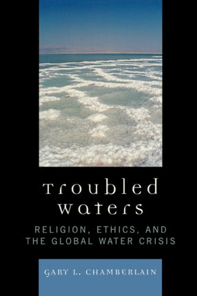 Troubled Waters Religion Ethics and the Global