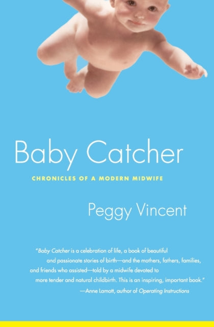 Baby Catcher: Chronicles Modern