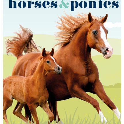 Horses & Ponies