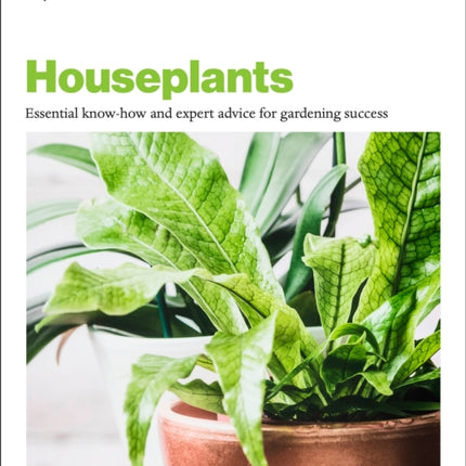 Grow Houseplants: Essential know-how and expert advice for success