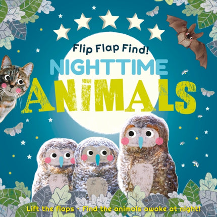 Flip Flap Find Nighttime Animals