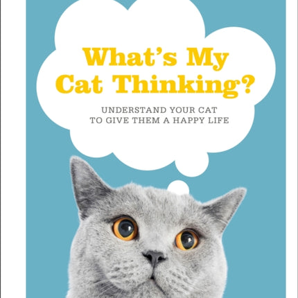 What's My Cat Thinking?: Understand Your Cat to Give Them a Happy Life