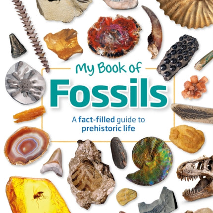 My Book of Fossils: A fact-filled guide to prehistoric life