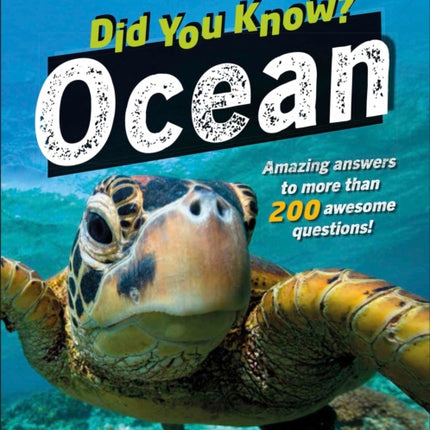 Did You Know? Ocean