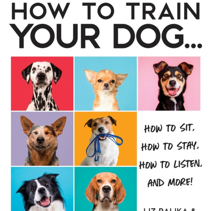 How to Train Your Dog