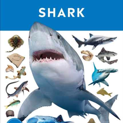 Eyewitness Shark: Dive into the fascinating world of sharks