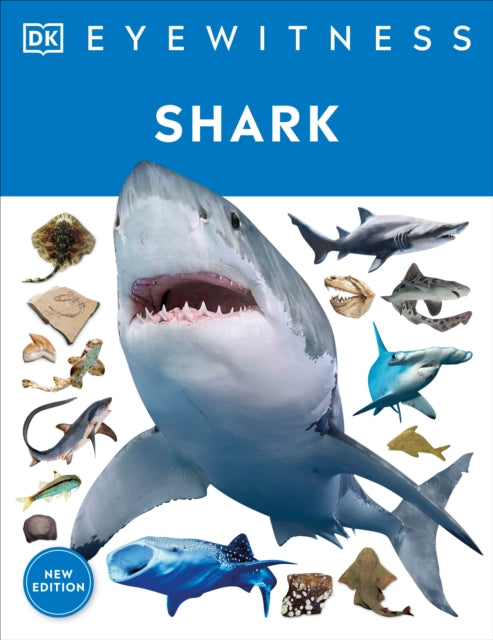 Eyewitness Shark: Dive into the fascinating world of sharks