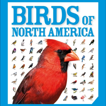 Pocket Genius Birds of North America