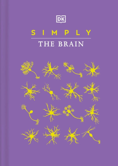 Simply The Brain