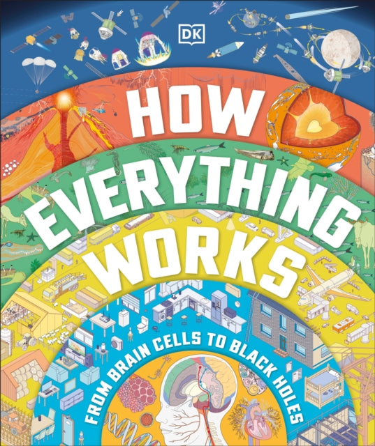 How Everything Works: From Brain Cells to Black Holes