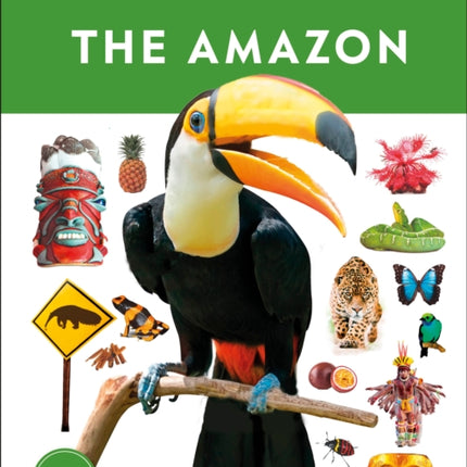 Eyewitness The Amazon