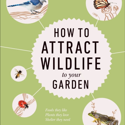 How to Attract Wildlife to Your Garden: Foods They Like, Plants They Love, Shelter They Need