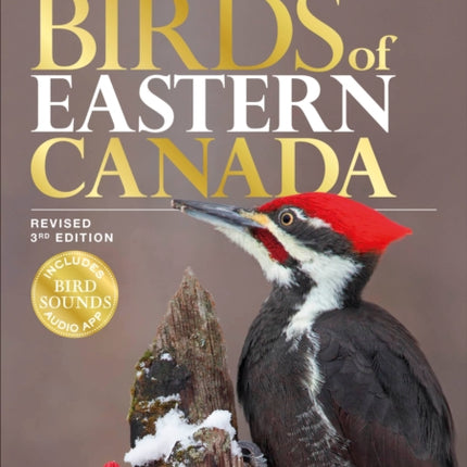 Birds of Eastern Canada