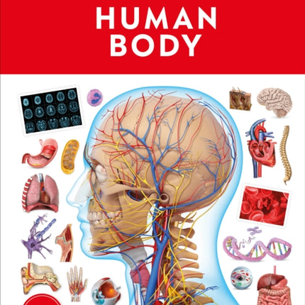 Eyewitness Human Body