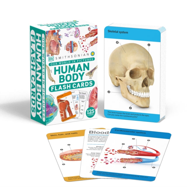 Our World in Pictures Human Body Flash Cards