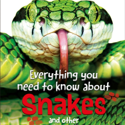 Everything You Need to Know about Snakes