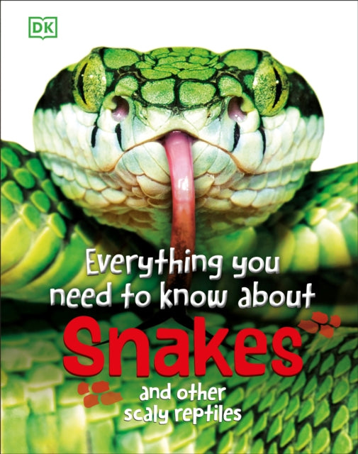 Everything You Need to Know about Snakes