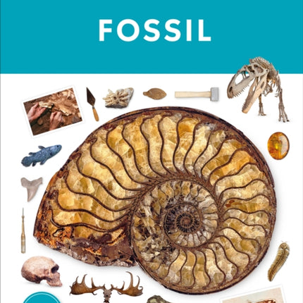 Eyewitness Fossil