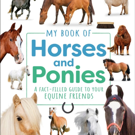 My Book of Horses and Ponies
