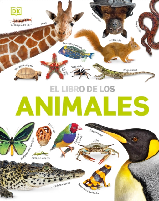 El Libro de Los Animales Our World in Pictures The Animal Book