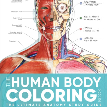 The Human Body Coloring Book