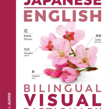 Japanese  English Bilingual Visual Dictionary