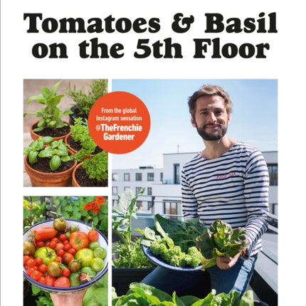 Tomatoes and Basil on the 5th Floor the Frenchie Gardener