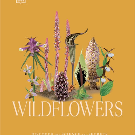 Wildflowers