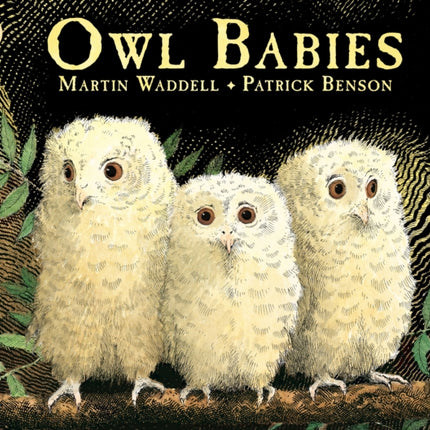 Owl Babies