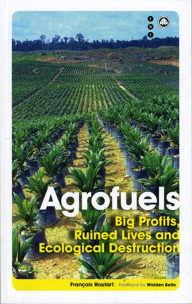 Agrofuels: Big Profits, Ruined Lives and Ecological Destruction