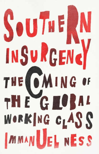 Southern Insurgency: The Coming of the Global Working Class