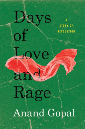 Days of Love and Rage  A Story of Revolution