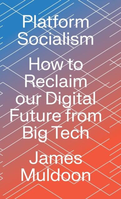 Platform Socialism: How to Reclaim our Digital Future from Big Tech