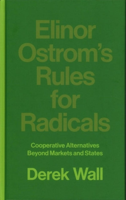 Elinor Ostrom's Rules for Radicals: Cooperative Alternatives beyond Markets and States