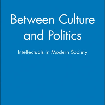 Between Culture and Politics: Intellectuals in Modern Society