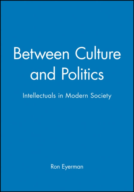 Between Culture and Politics: Intellectuals in Modern Society