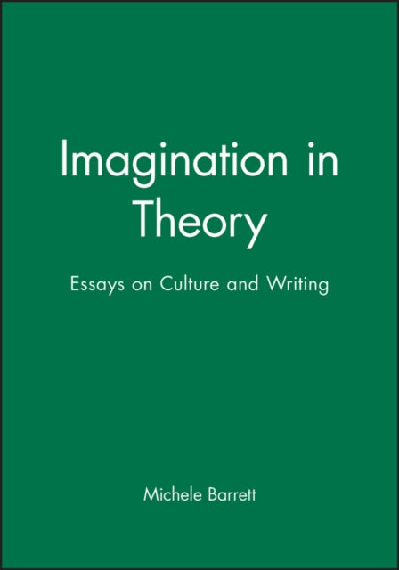 Imagination in Theory: Essays on Culture and Writing