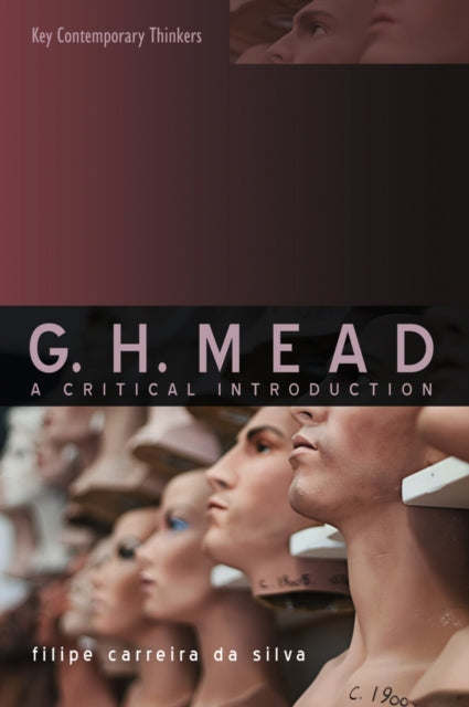 G.H. Mead: A Critical Introduction