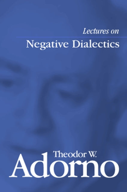 Lectures on Negative Dialectics: Fragments of a Lecture Course 1965/1966