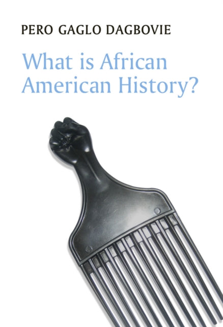 What Is African American History