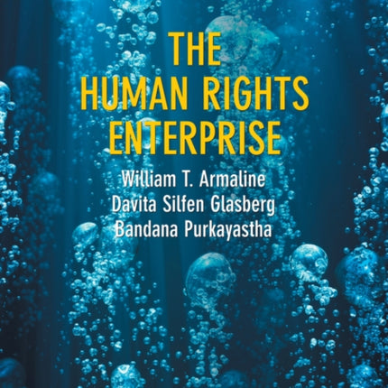 The Human Rights Enterprise: Political Sociology, State Power, and Social Movements