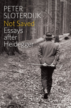 Not Saved: Essays After Heidegger