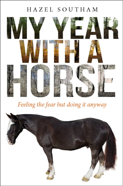 My Year With a Horse: Feeling the fear but doing it anyway