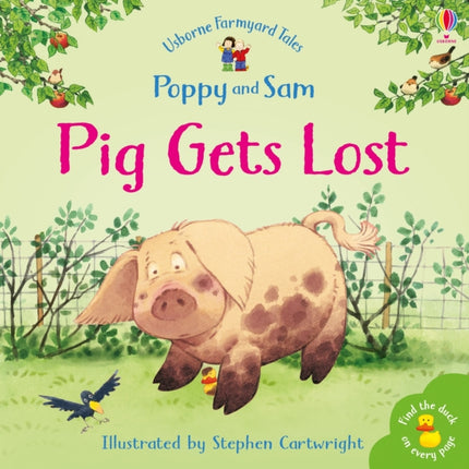 Pig Gets Lost