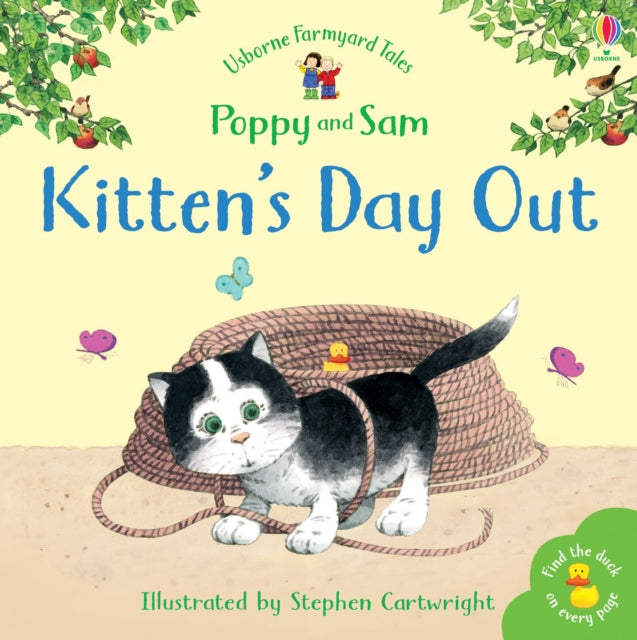 Kittens Day Out Mini Farmyard Tales