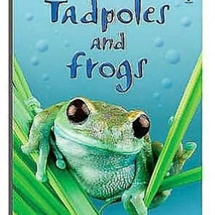 Tadpoles and Frogs