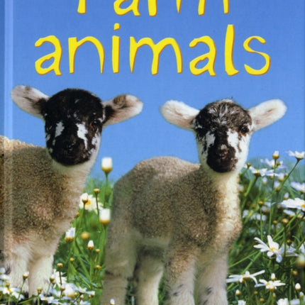 Farm Animals