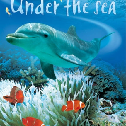 Under the Sea