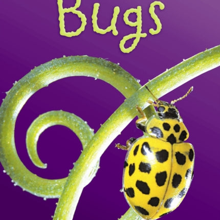 Bugs